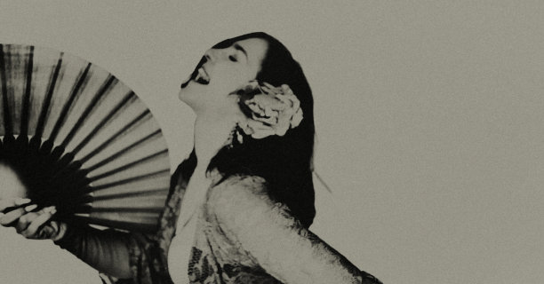 弗拉门戈。图片下载