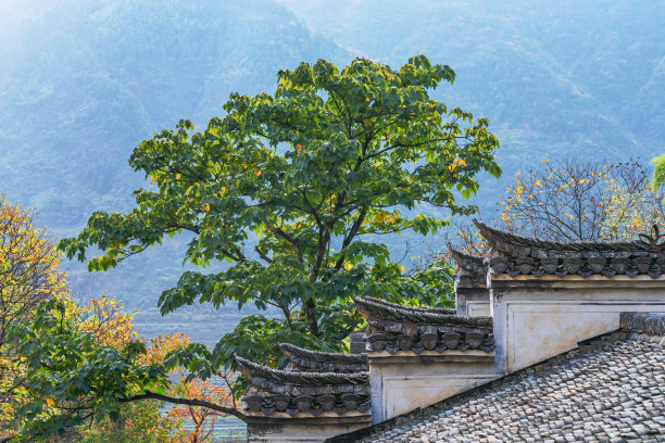 中国安徽省古代建筑局部细节特写图片下载