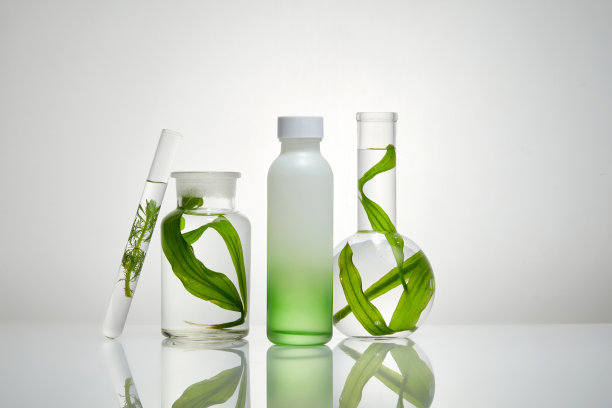 海藻的概念图片下载