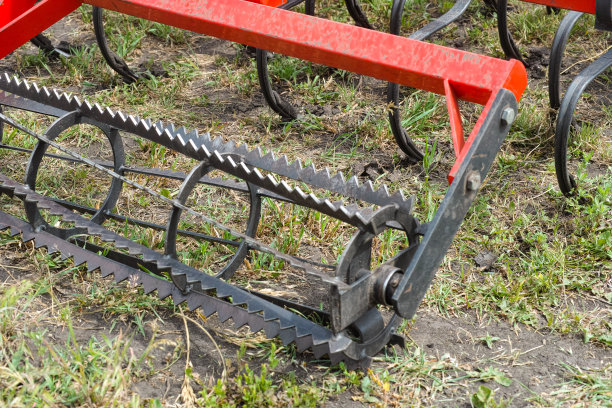 一根红色苗床耕耘机的耙子站在农田里的特写镜头。图片下载