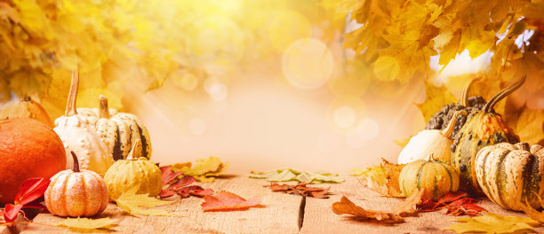 一幅质朴的秋天静物画图片下载