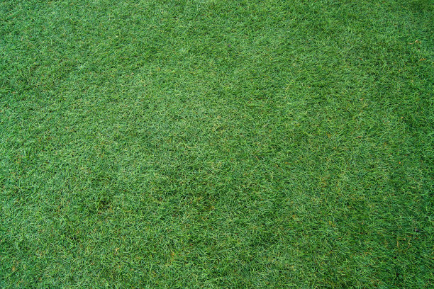绿色合成草背景。足球场，公园草坪。图片下载