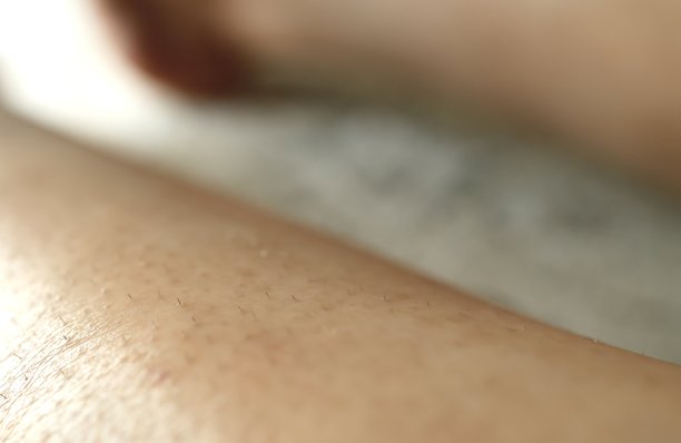 20多岁日本女性的小腿头发。图片下载