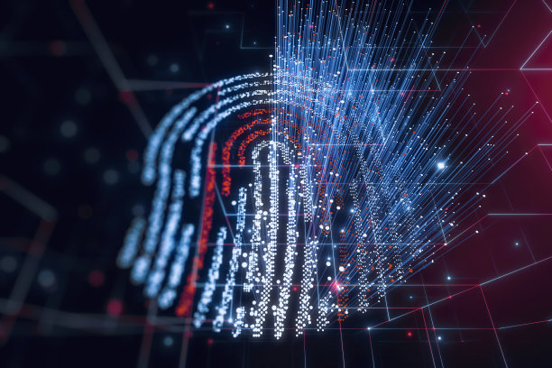 网络空间中的数字隐私或身份概念图片下载