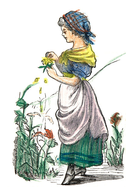 女孩伸出手去采百合花图片下载