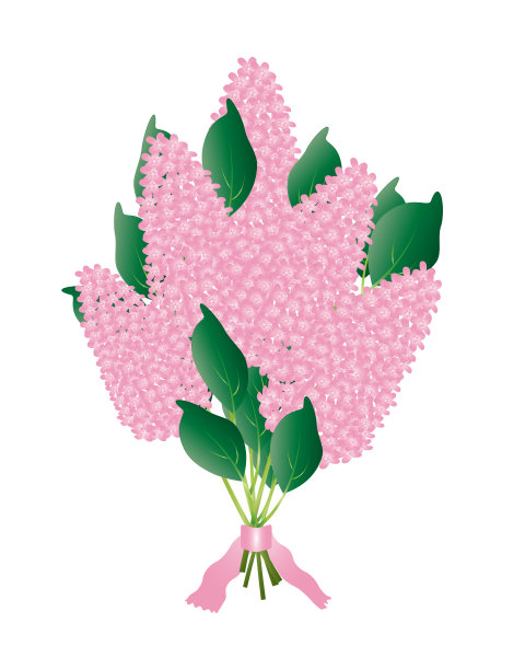 夏季图片丁香春天花束矢量EPS10图片下载