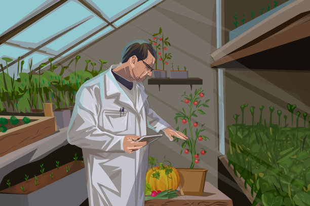 穿工作服的人控制温室里植物的生长图片下载