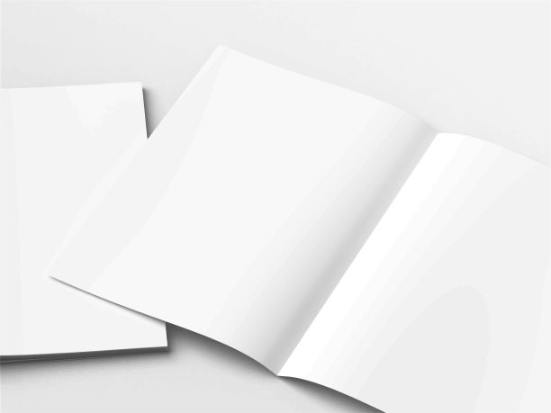 现实的空白A4/A5传单，小册子，半折叠，小册子，传单，书籍演示模板设计。窗户和树叶的阴影叠加，孤立在白色的背景上。3D矢量插图。图片下载