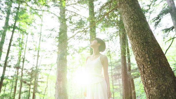 森林疗法图片下载