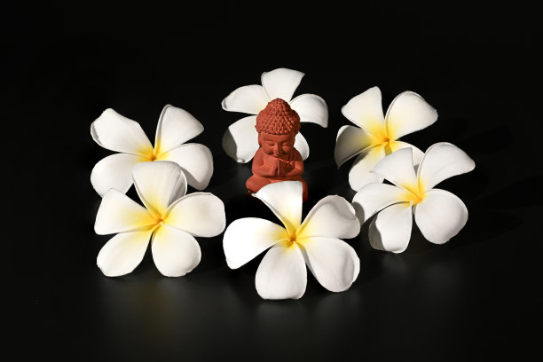 佛祖雕像与花蕊花在黑色的背景图片下载