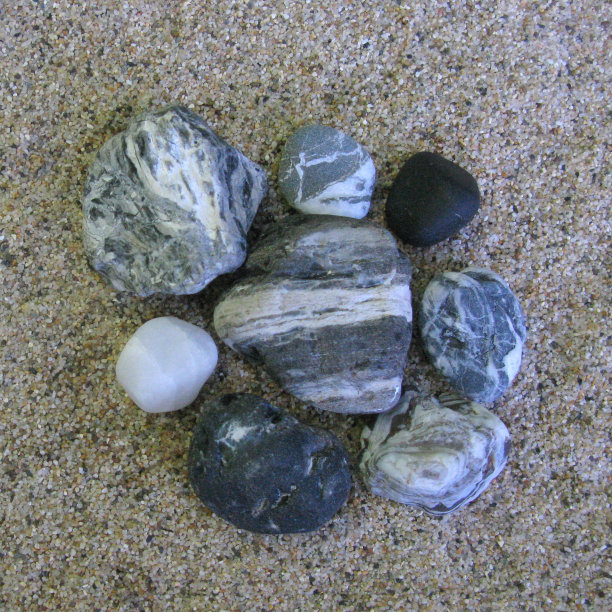 黑与白图片下载