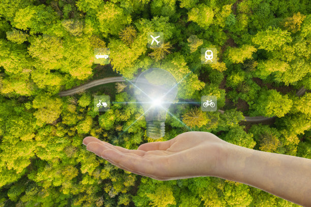 手握电灯泡对抗自然，为环境、社会、治理在可持续和道德的商业网络上连接，ESG图标概念。图片下载