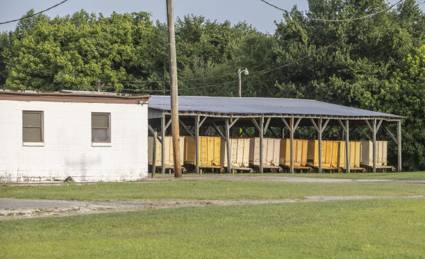 粮食/花生弯曲图片下载