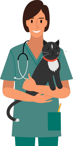 兽医抱着一只猫孤立在他的怀里图片下载