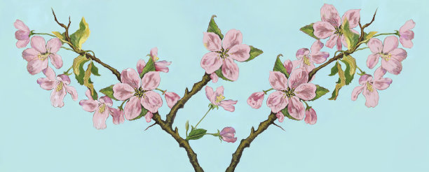 时尚的插图，印象派的现代艺术作品，我的原画水粉和水彩画，春天的静物画，在耀眼的阳光下开花的苹果树的树枝图片下载