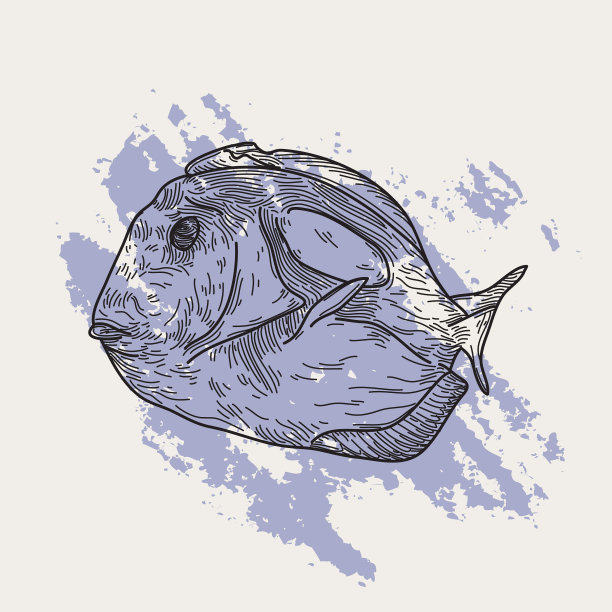 热带鱼图片下载