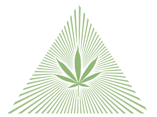 麻叶与阳光图片下载