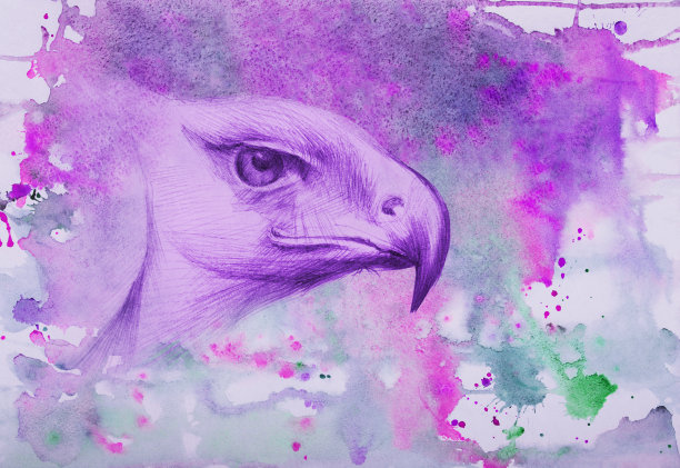 时尚插画动物鸟类现代艺术作品水彩寓言画印象派水平象征性肖像头看一只鹰的侧面在一个抽象的傍晚背景在紫色的蔓延水彩颜料图片下载