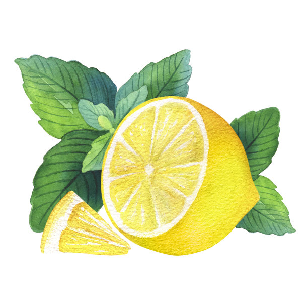 水彩柠檬薄荷图片下载