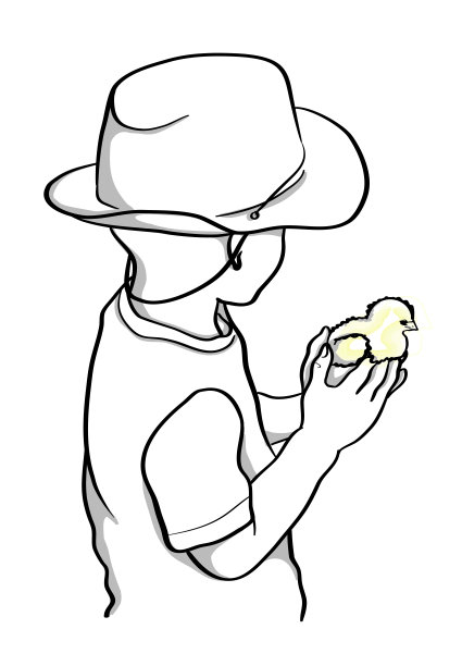 小男孩抱着一只小鸡图片下载