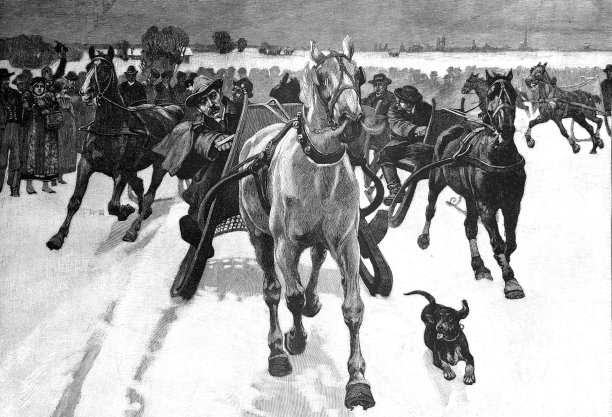 冬季的马拉雪橇比赛，在慕尼黑的特莱西恩维泽图片下载