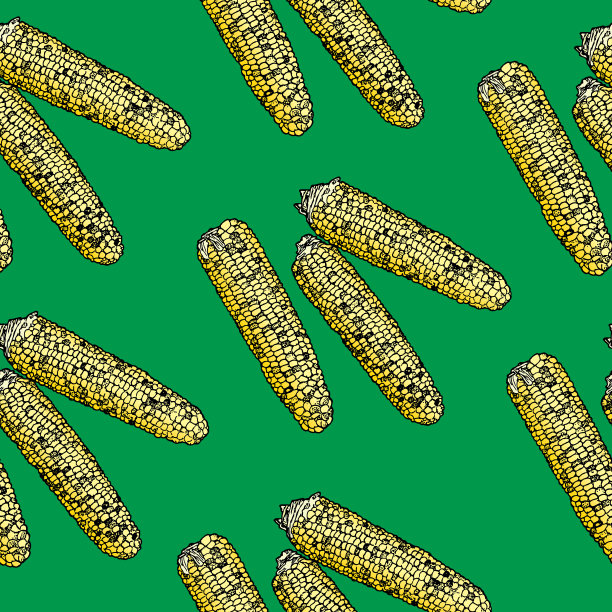 玉米在柯布无缝模式图片下载
