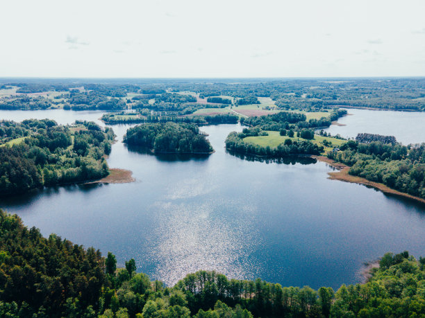 林地宁静:湖边静修图片下载