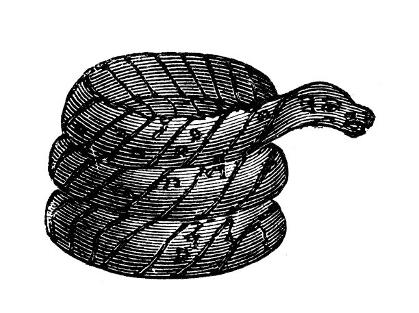 古董插图，民族志和土著文化:中美洲，神圣的动物雕塑图片下载