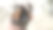 一个男人的手拿着一个装满鳗鱼的塑料袋图片下载
