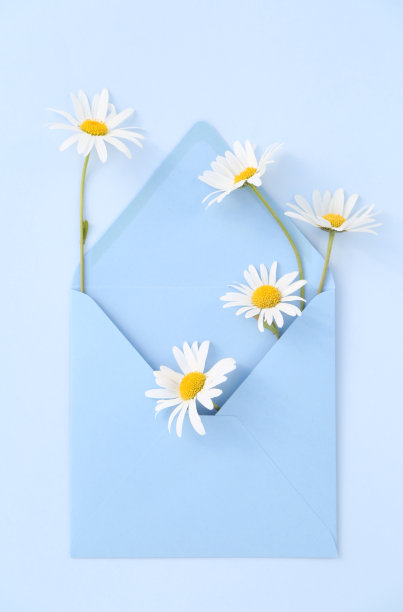 花的背景图片下载