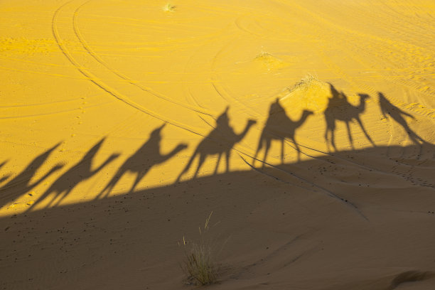 骆驼队在沙丘上的影子剪影，Merzouga, Erg Chebbi，撒哈拉，摩洛哥图片下载