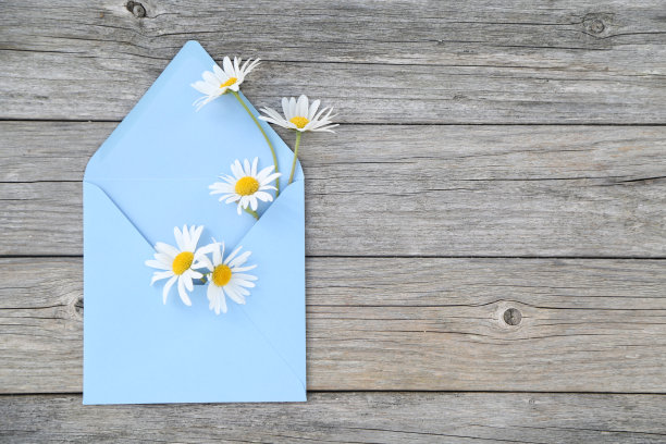 花的背景图片下载