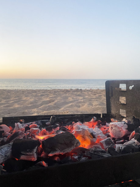 在沙滩上烧烤的肉丸，以大海和天空为背景图片下载