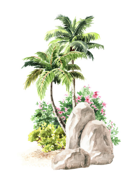 热带棕榈树，手绘水彩插图孤立在白色背景图片下载