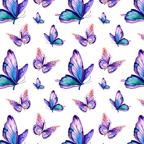 大闪蝶的图案。水彩插图在一个孤立的背景。五彩斑斓的翅膀，紫色的，粉色的，橙色的。动物,野生动物。图片下载