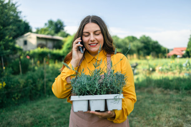 电话。一名年轻女子手持装有薰衣草的花盆，在美丽的花园中照料植物。白人农民在用智能手机聊天图片下载