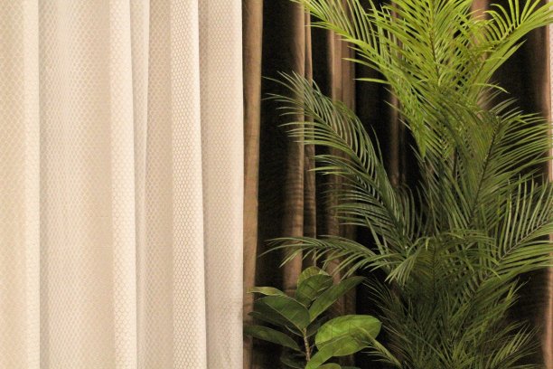 卧室里盆栽植物的特写。家居室内设计。城市丛林概念。时尚的公寓装饰与绿色植物。居家舒适，极简主义图片下载