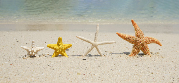 夏日背景，白色沙滩上的海星图片下载