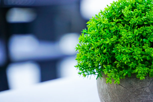 现代结构
茶几上的陶制花瓶和绿色植物。本空间图片下载