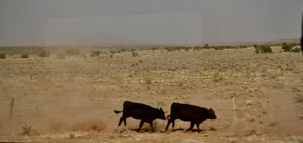 牧场上的家图片下载