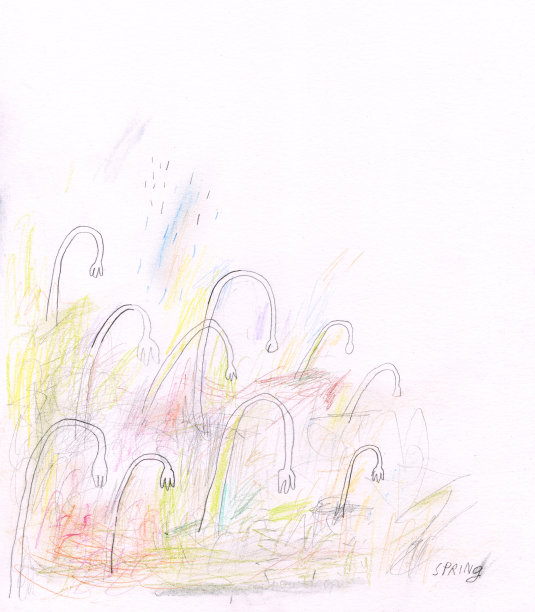 雪花莲图片下载