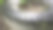 一个又旧又湿的黑色汽车轮胎图片下载