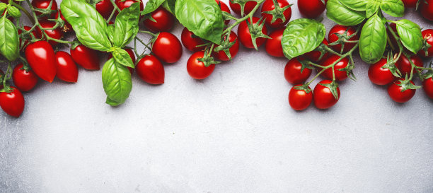 红色的圣女果挂在树枝上，绿色的罗勒放在灰色的桌子上，食物背景，俯视图图片下载