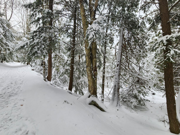 像冰一样冷的土地图片下载