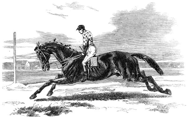 泽特兰勋爵的“Vedette”，在英国萨福克郡纽马克特赢得了2000几尼的赌注图片下载