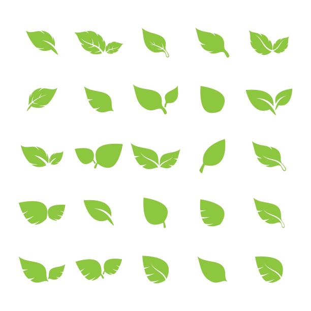 叶子标志图标矢量设计模板图片下载