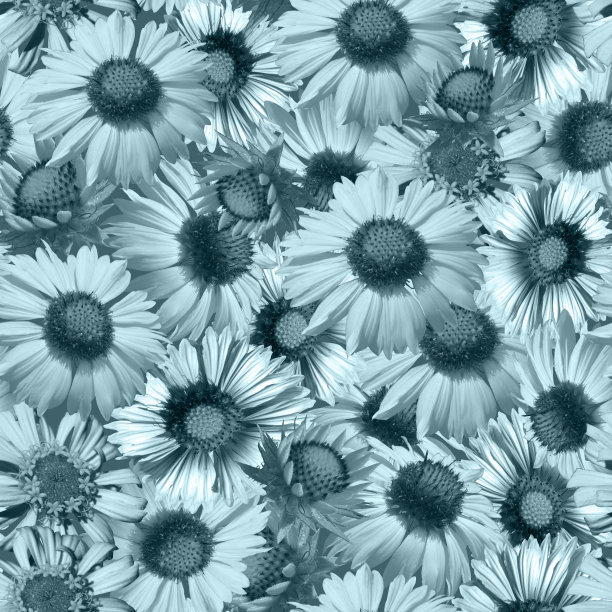 无缝花卉图案与蓝色调的花。图片下载