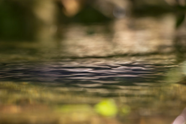 碧绿清澈的河水点缀着河流。希腊的Portaikos河。图片下载