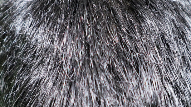 日本男人的头发特写图片下载