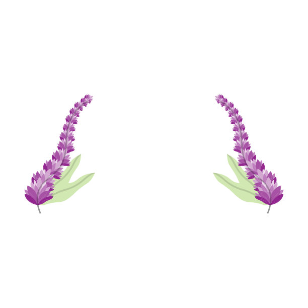 薰衣草标志，紫色植物矢量，花园设计，插图符号模板图片下载